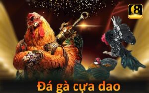 Những Sai Lầm Phổ Biến Khi Chơi Đá Gà Cựa Dao Và Cách Tránh 3 Đá gà cựa dao